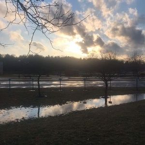 Meet your Posher, Patrick